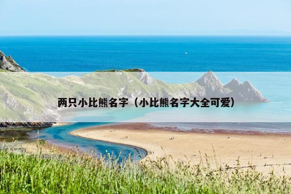 两只小比熊名字（小比熊名字大全可爱）