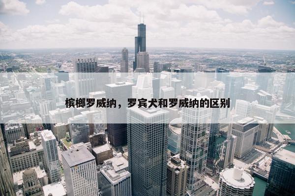 槟榔罗威纳，罗宾犬和罗威纳的区别