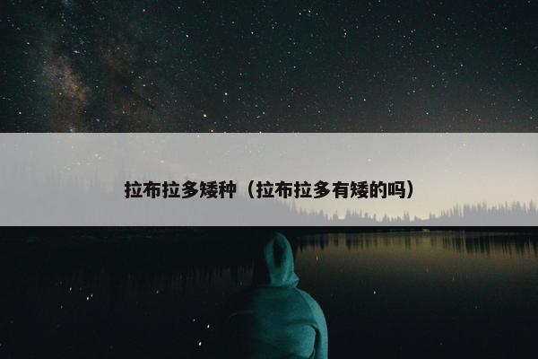 拉布拉多矮种（拉布拉多有矮的吗）