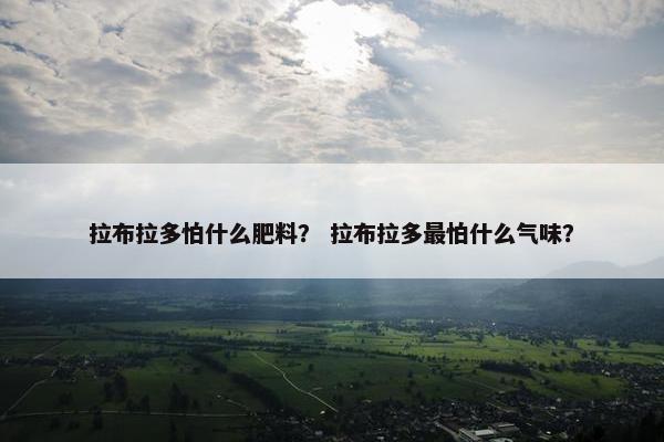 拉布拉多怕什么肥料？ 拉布拉多最怕什么气味？
