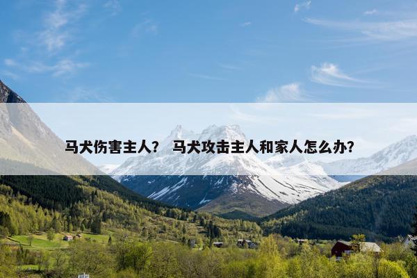 马犬伤害主人？ 马犬攻击主人和家人怎么办？