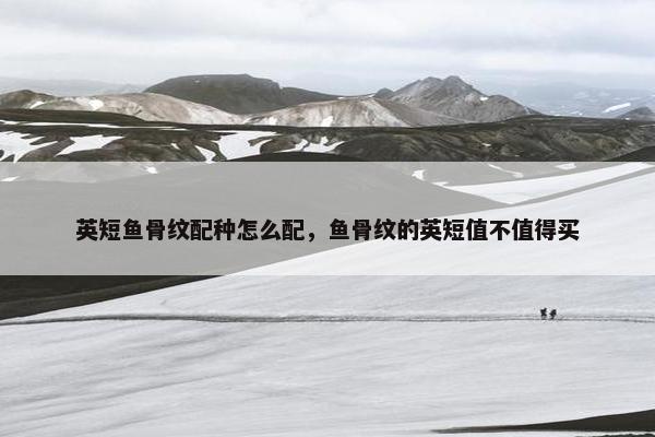 英短鱼骨纹配种怎么配，鱼骨纹的英短值不值得买
