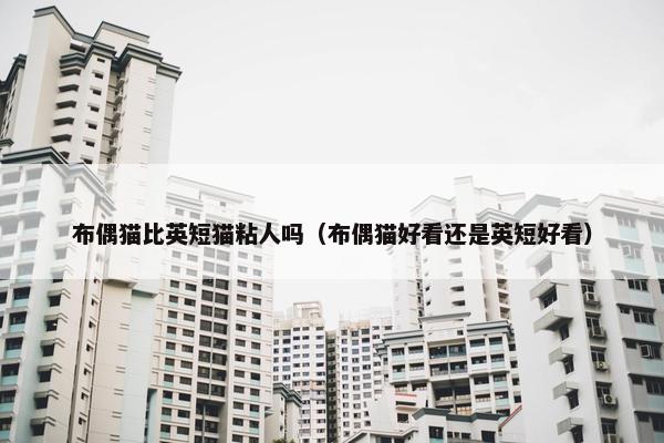 布偶猫比英短猫粘人吗（布偶猫好看还是英短好看）