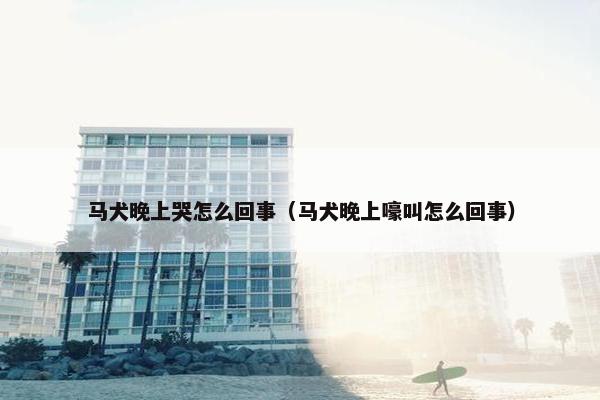 马犬晚上哭怎么回事（马犬晚上嚎叫怎么回事）