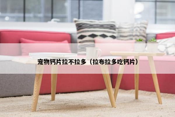 宠物钙片拉不拉多（拉布拉多吃钙片）