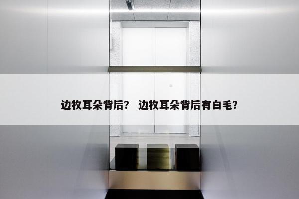 边牧耳朵背后？ 边牧耳朵背后有白毛？