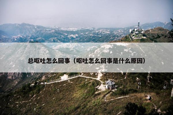 总呕吐怎么回事（呕吐怎么回事是什么原因）