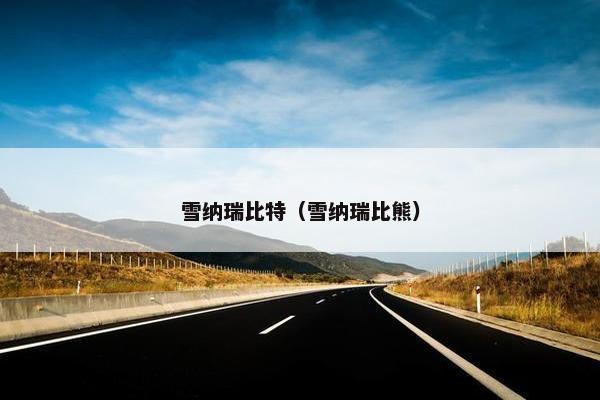 雪纳瑞比特（雪纳瑞比熊）