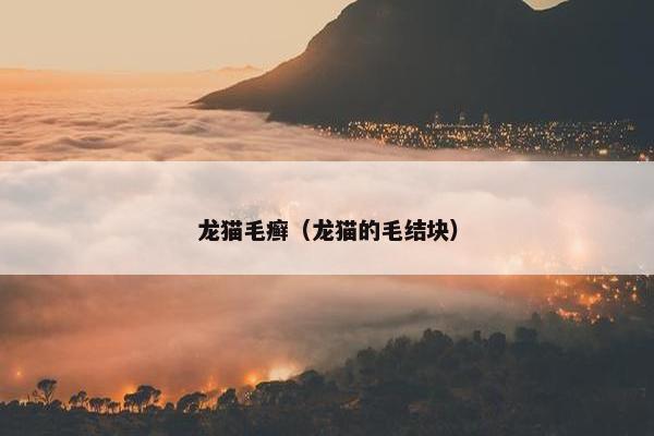 龙猫毛癣（龙猫的毛结块）