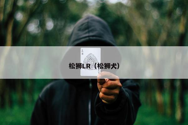 松狮LR（松狮犬）