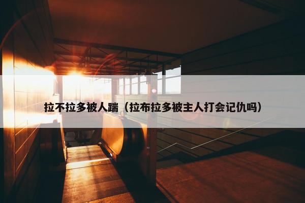 拉不拉多被人踹（拉布拉多被主人打会记仇吗）