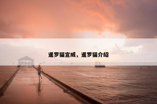 暹罗猫宣威，暹罗猫介绍