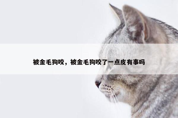 被金毛狗咬，被金毛狗咬了一点皮有事吗