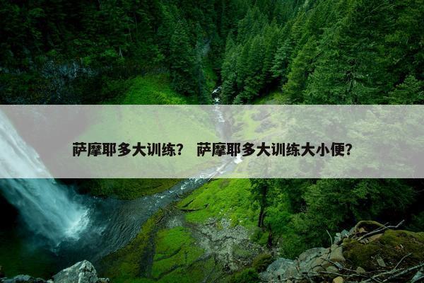 萨摩耶多大训练？ 萨摩耶多大训练大小便？