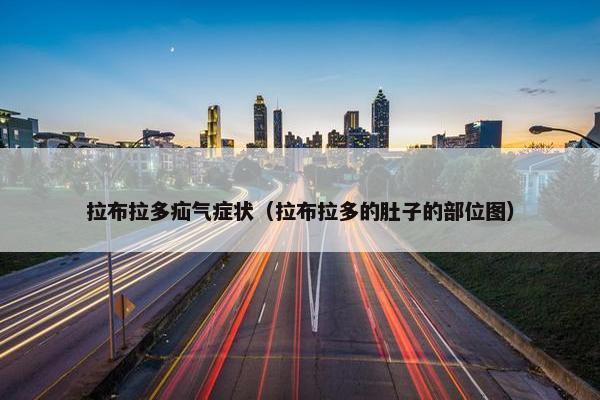 拉布拉多疝气症状（拉布拉多的肚子的部位图）