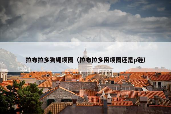 拉布拉多狗绳项圈（拉布拉多用项圈还是p链）