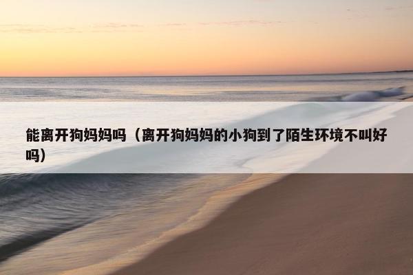 能离开狗妈妈吗（离开狗妈妈的小狗到了陌生环境不叫好吗）