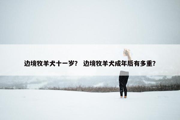 边境牧羊犬十一岁？ 边境牧羊犬成年后有多重？