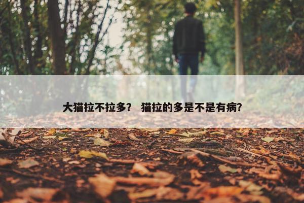 大猫拉不拉多？ 猫拉的多是不是有病？