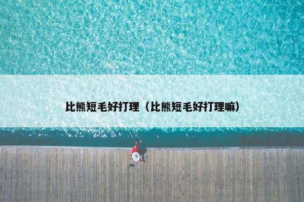 比熊短毛好打理（比熊短毛好打理嘛）