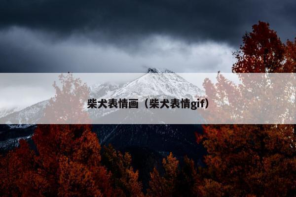 柴犬表情画（柴犬表情gif）