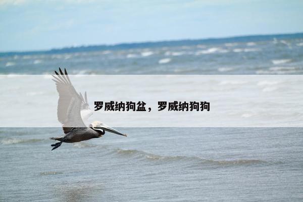 罗威纳狗盆，罗威纳狗狗