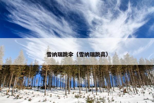 雪纳瑞跳伞（雪纳瑞跳高）