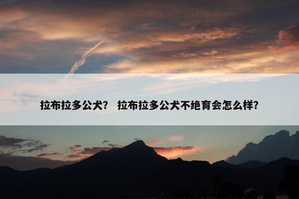 拉布拉多公犬？ 拉布拉多公犬不绝育会怎么样？
