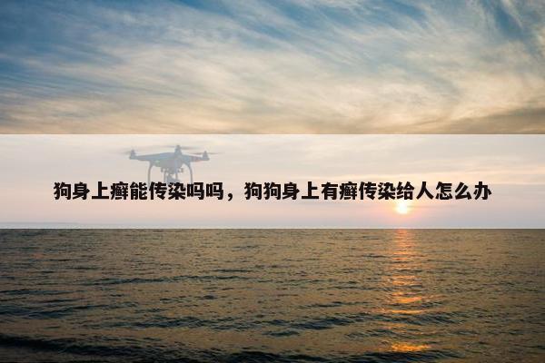 狗身上癣能传染吗吗，狗狗身上有癣传染给人怎么办