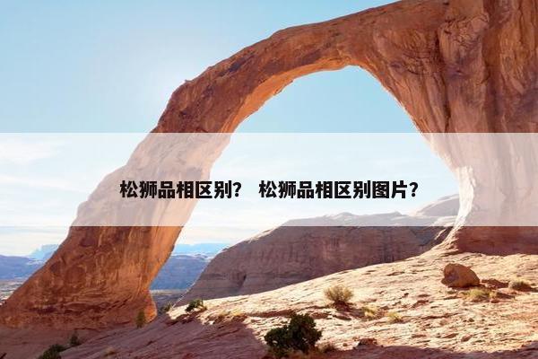 松狮品相区别？ 松狮品相区别图片？