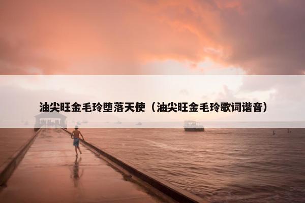 油尖旺金毛玲堕落天使（油尖旺金毛玲歌词谐音）