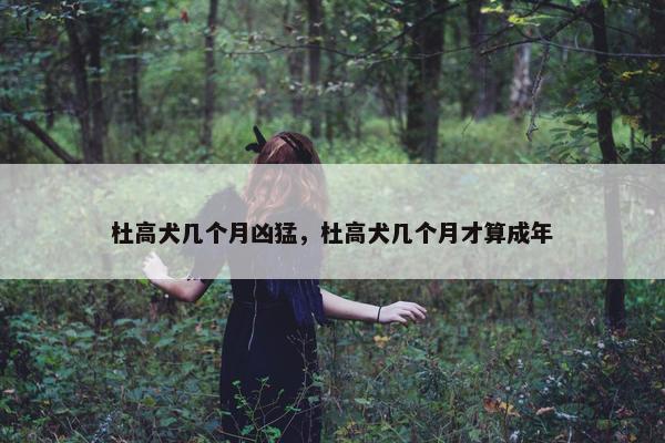 杜高犬几个月凶猛，杜高犬几个月才算成年