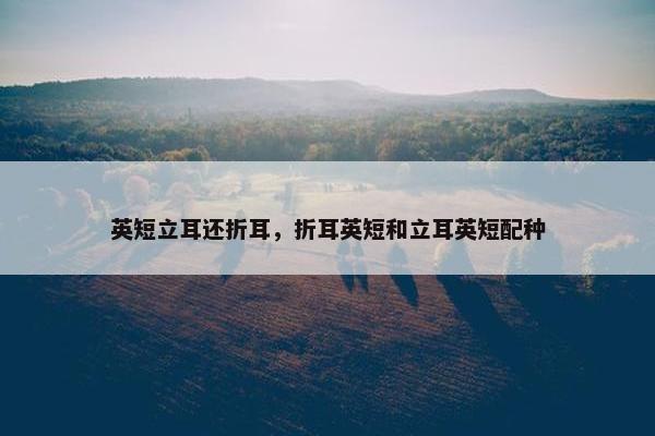 英短立耳还折耳，折耳英短和立耳英短配种