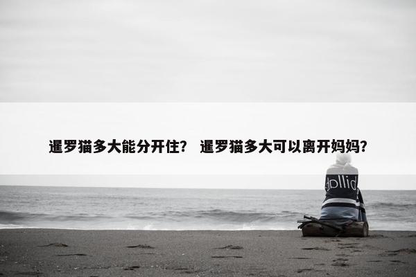 暹罗猫多大能分开住？ 暹罗猫多大可以离开妈妈？