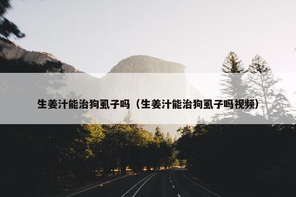 生姜汁能治狗虱子吗（生姜汁能治狗虱子吗视频）