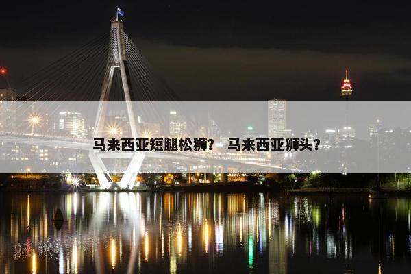 马来西亚短腿松狮？ 马来西亚狮头？