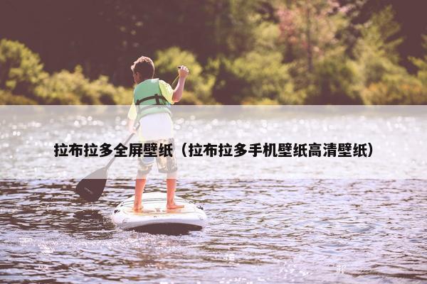拉布拉多全屏壁纸（拉布拉多手机壁纸高清壁纸）