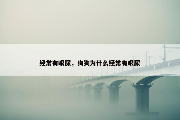 经常有眼屎，狗狗为什么经常有眼屎
