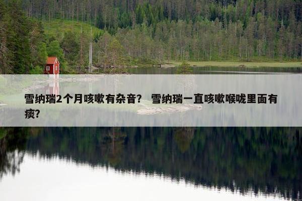 雪纳瑞2个月咳嗽有杂音？ 雪纳瑞一直咳嗽喉咙里面有痰？