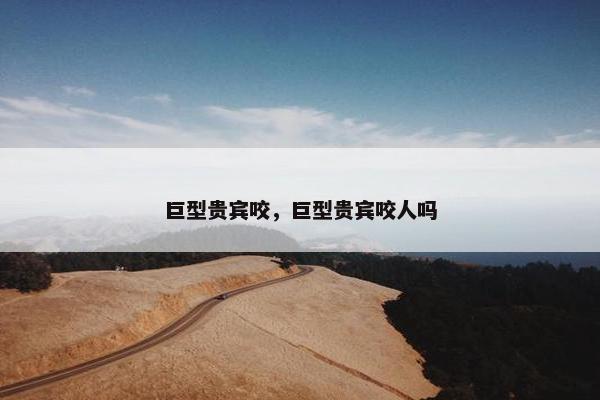 巨型贵宾咬，巨型贵宾咬人吗