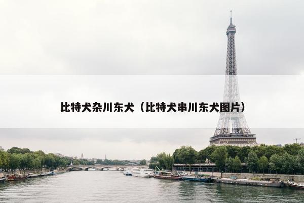 比特犬杂川东犬（比特犬串川东犬图片）