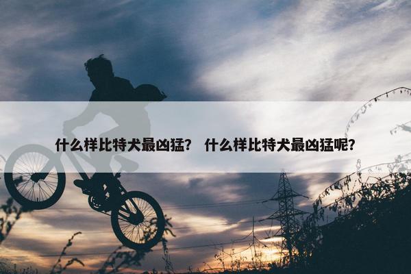 什么样比特犬最凶猛？ 什么样比特犬最凶猛呢？
