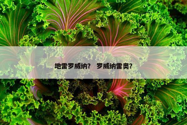 地雷罗威纳？ 罗威纳雷奥？