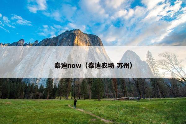 泰迪now（泰迪农场 苏州）