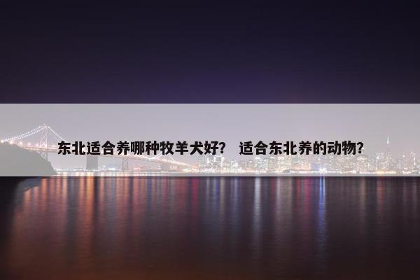 东北适合养哪种牧羊犬好？ 适合东北养的动物？