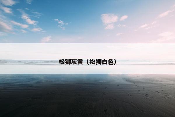 松狮灰黄（松狮白色）