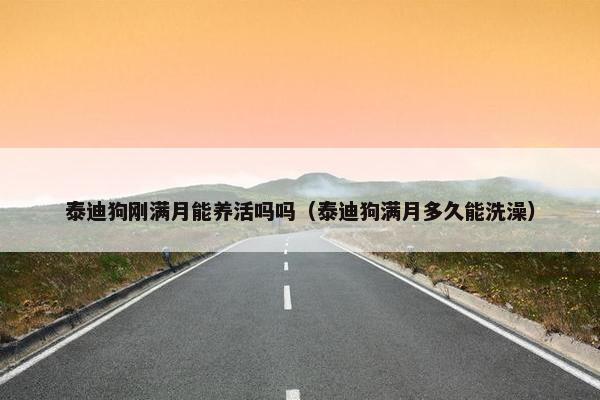 泰迪狗刚满月能养活吗吗（泰迪狗满月多久能洗澡）