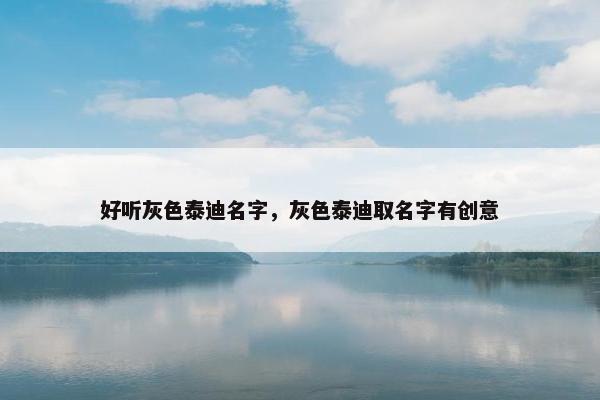 好听灰色泰迪名字，灰色泰迪取名字有创意