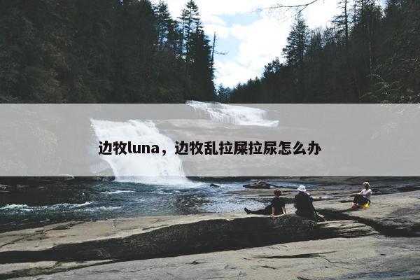 边牧luna，边牧乱拉屎拉尿怎么办