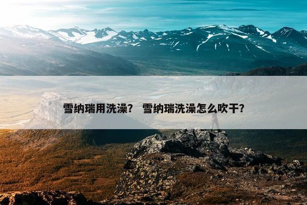 雪纳瑞用洗澡？ 雪纳瑞洗澡怎么吹干？